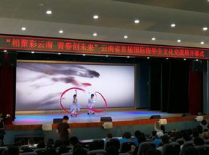 彩云之南喜迎五洲客，多元文化共繪同心圓——云南省首屆國際留學生文化交流周開幕